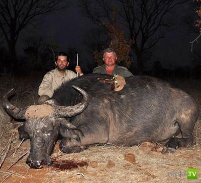 ������ � �������� - ������������� �������� �������� (12 ����)