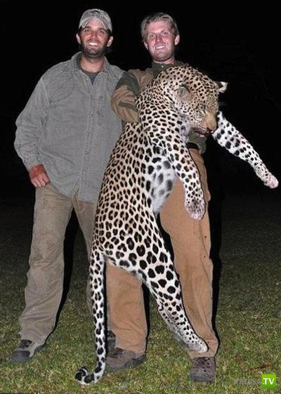 ������ � �������� - ������������� �������� �������� (12 ����)