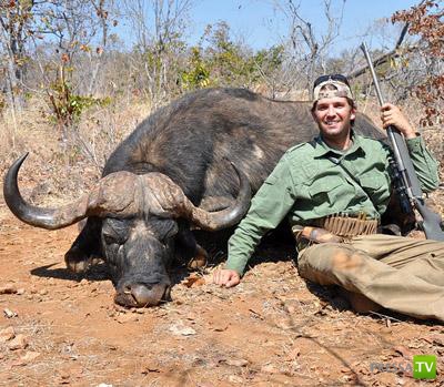 ������ � �������� - ������������� �������� �������� (12 ����)