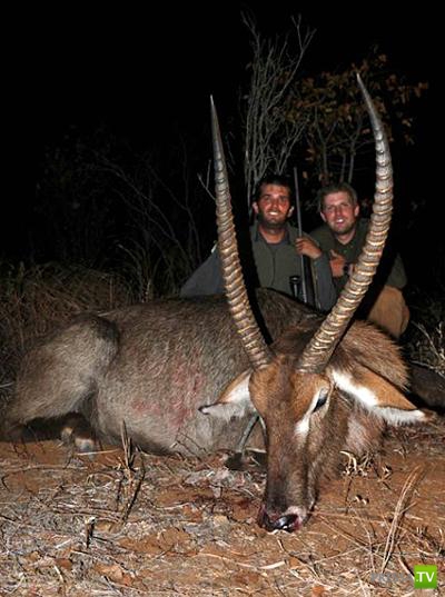 ������ � �������� - ������������� �������� �������� (12 ����)