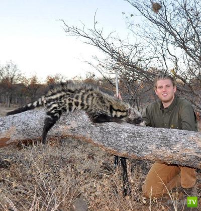 ������ � �������� - ������������� �������� �������� (12 ����)