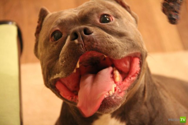 ��� �������� ��������, ����� 31 (40 ����)