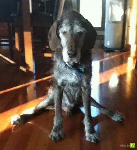 ��� �������� ��������, ����� 31 (40 ����)