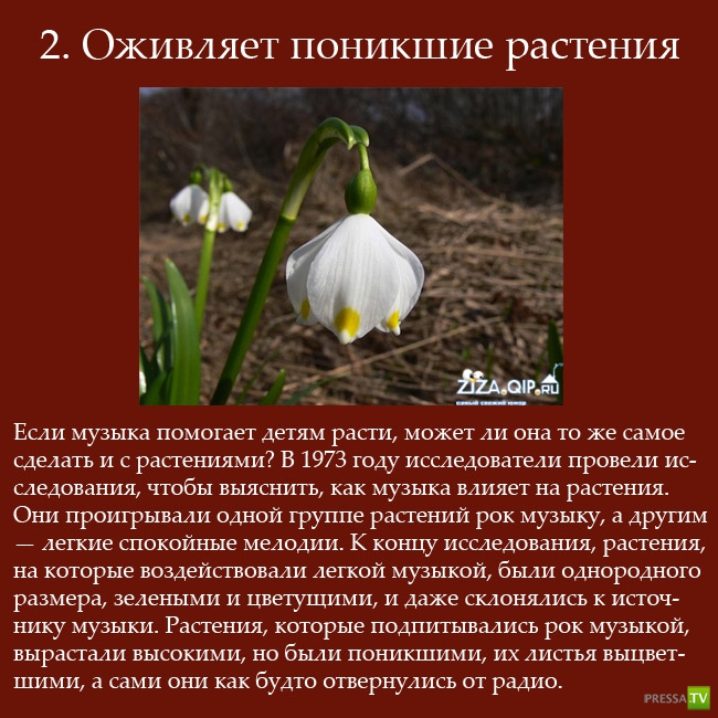 ������������ ������� ������ (10 ����)