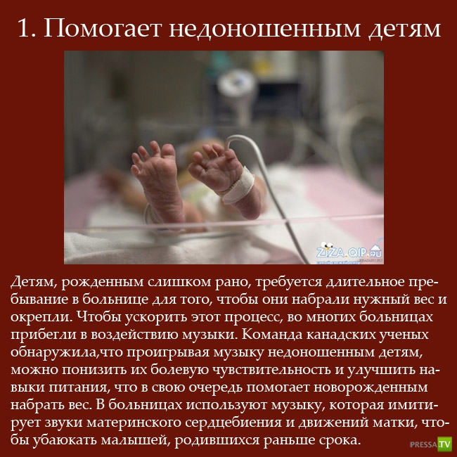 ������������ ������� ������ (10 ����)