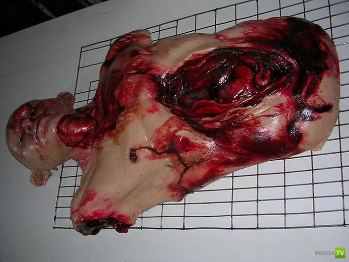 ���������� ���������� ������� �� �������� (12 ����)