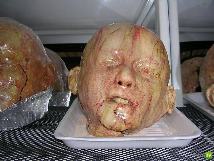 ���������� ���������� ������� �� �������� (12 ����)