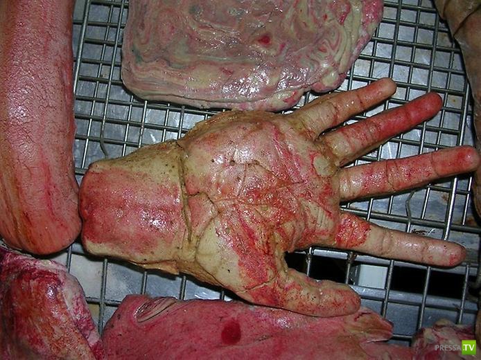 ���������� ���������� ������� �� �������� (12 ����)