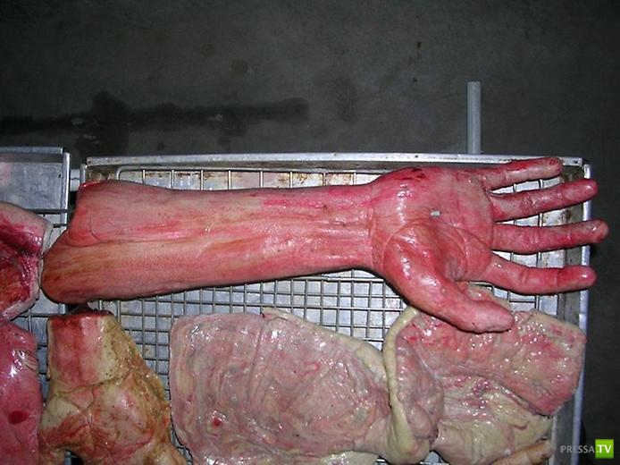 ���������� ���������� ������� �� �������� (12 ����)