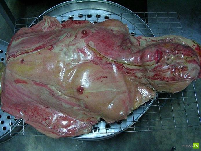 ���������� ���������� ������� �� �������� (12 ����)