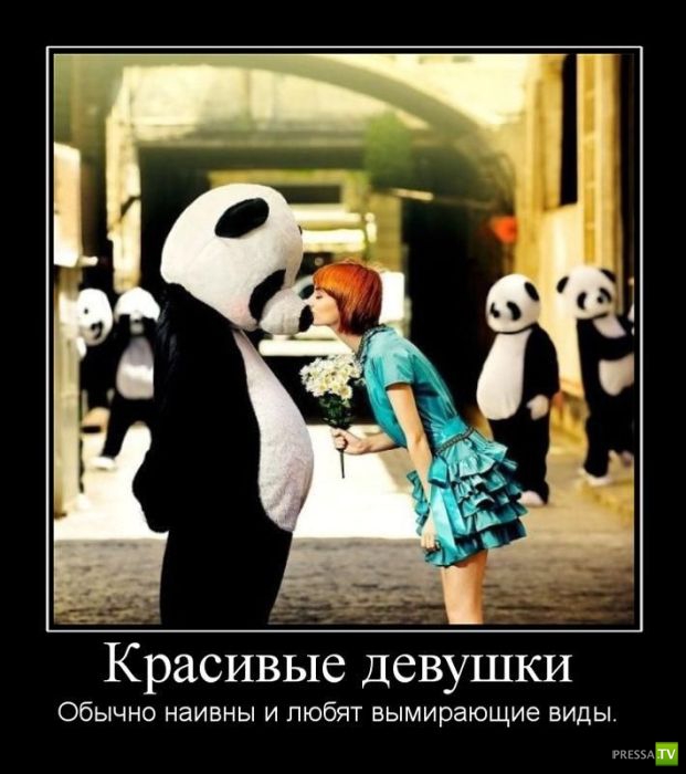 ������������ �� ����, ����� 7 (45 ����)