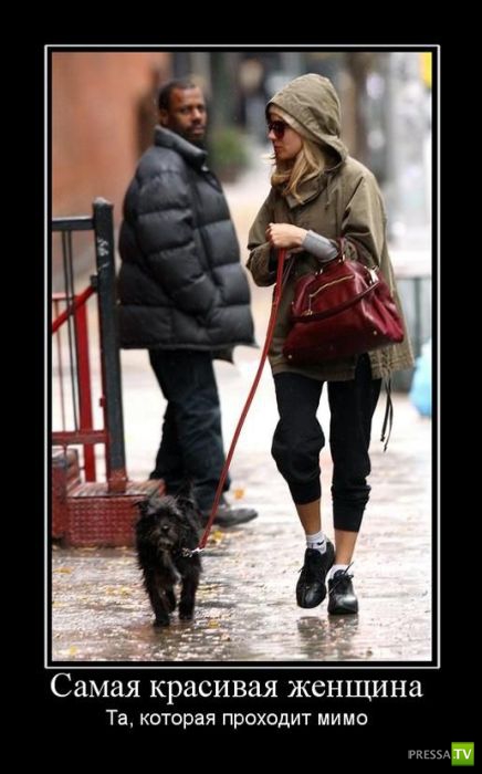 ������������ �� ����, ����� 7 (45 ����)