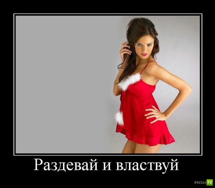 ������������ �� ����, ����� 7 (45 ����)