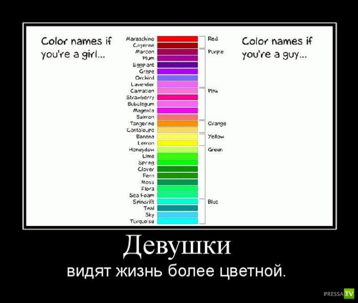 ������������ �� ����, ����� 7 (45 ����)