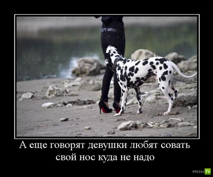 ������������ �� ����, ����� 7 (45 ����)