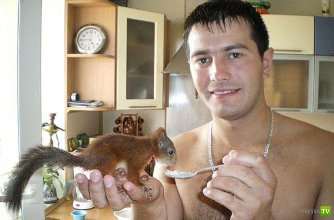 ��������� ����� - �������� �������� �������� (13 ����)