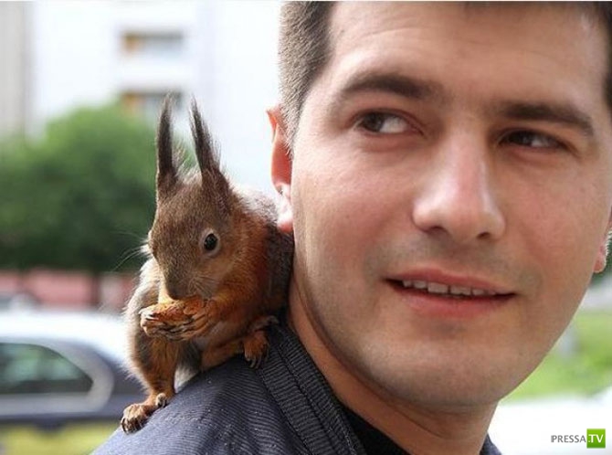 ��������� ����� - �������� �������� �������� (13 ����)