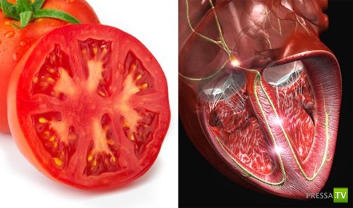 ���������� ����������... (11 ����)