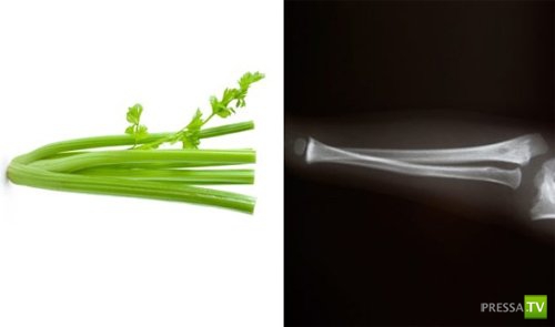 ���������� ����������... (11 ����)