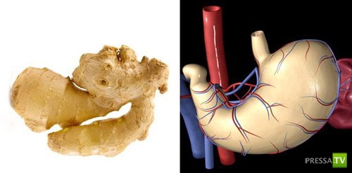 ���������� ����������... (11 ����)