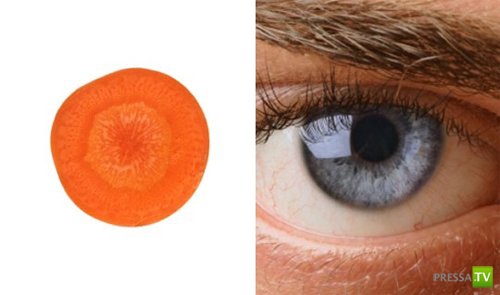 ���������� ����������... (11 ����)