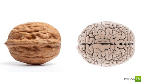 ���������� ����������... (11 ����)