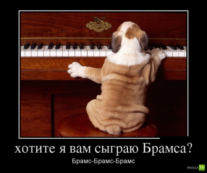 ������������ �� ����, ����� 11 (28 ����)