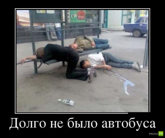 ������������ �� ����, ����� 11 (28 ����)