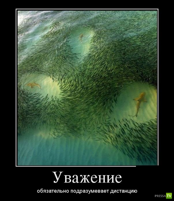 ������������ �� ����, ����� 11 (28 ����)