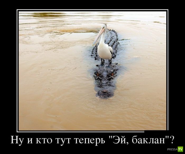 ������������ �� ����, ����� 12 (30 ����)