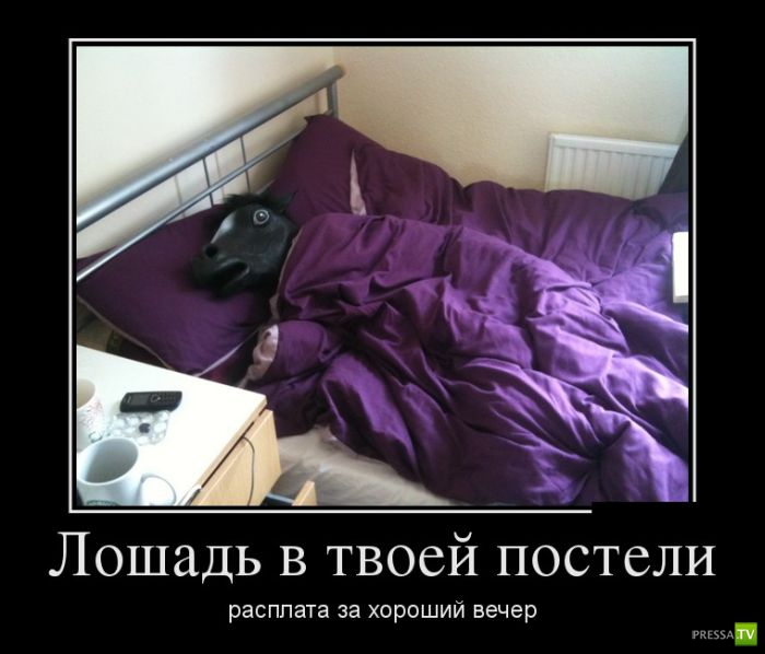 ������������ �� ����, ����� 12 (30 ����)