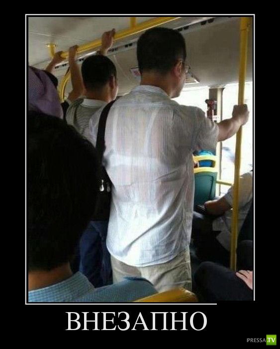 ������������ �� ����, ����� 12 (30 ����)