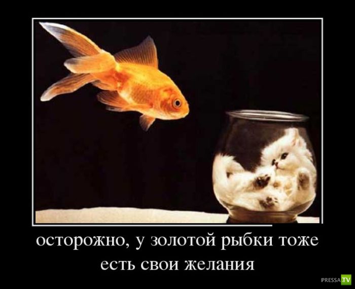 ������������ �� ����, ����� 12 (30 ����)