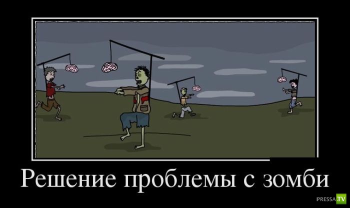 ������������ �� ����, ����� 12 (30 ����)