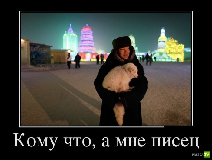 ������������ �� ����, ����� 12 (30 ����)