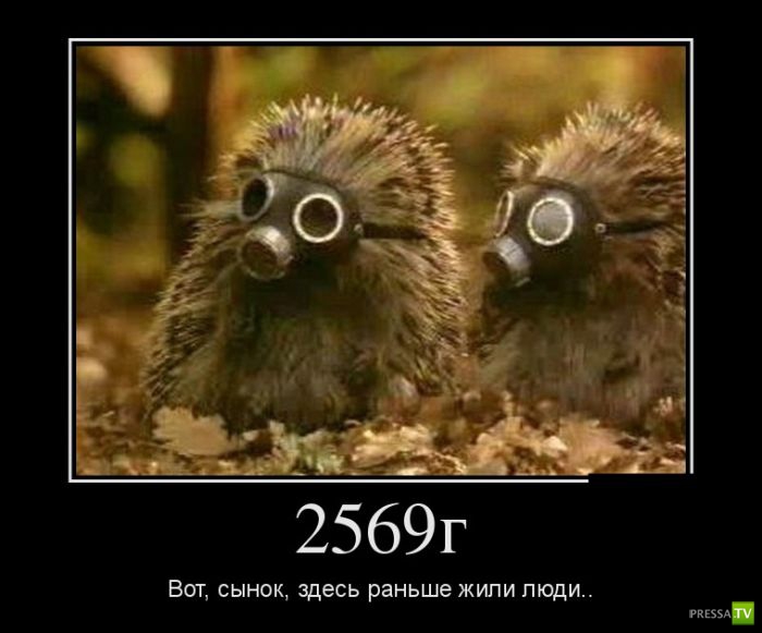 ������������ �� ����, ����� 12 (30 ����)