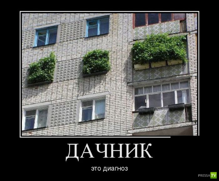 ������������ �� ����, ����� 12 (30 ����)