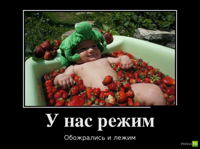 ������������ �� ����, ����� 12 (30 ����)