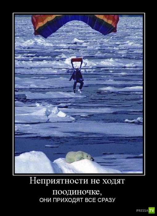 ������������ �� ����, ����� 13 (30 ����)