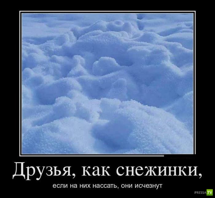 ������������ �� ����, ����� 13 (30 ����)