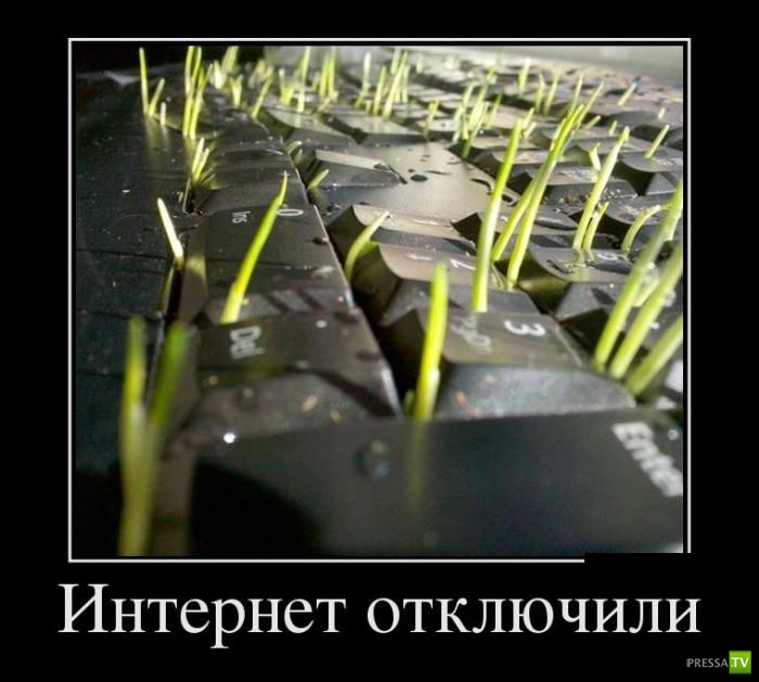 ������������ �� ����, ����� 13 (30 ����)