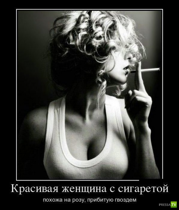 ������������ �� ����, ����� 13 (30 ����)