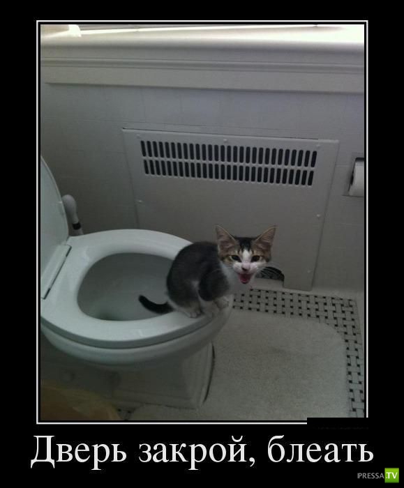 ������������ �� ����, ����� 13 (30 ����)