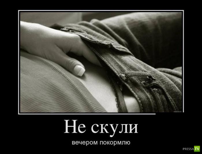 ������������ �� ����, ����� 13 (30 ����)