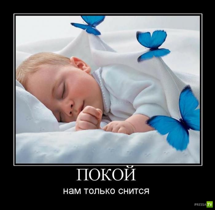 ������������ �� ����, ����� 13 (30 ����)