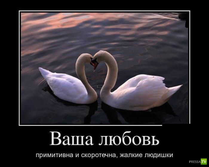 ������������ �� ����, ����� 13 (30 ����)