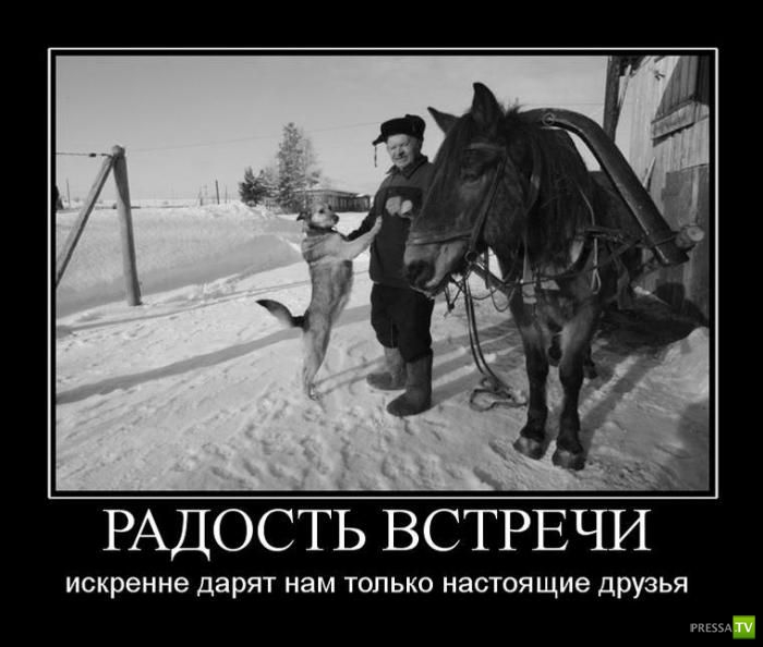 ������������ �� ����, ����� 13 (30 ����)