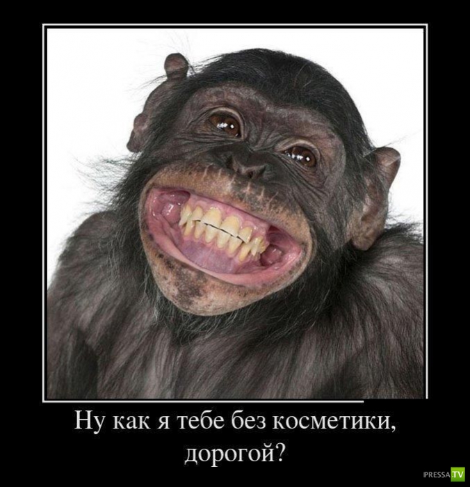 ������������ �� ����, ����� 13 (30 ����)