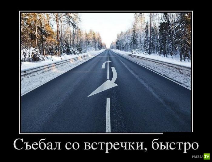 ������������ �� ����, ����� 13 (30 ����)