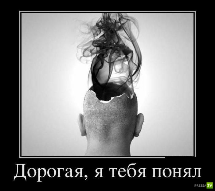 ������������ �� ����, ����� 13 (30 ����)